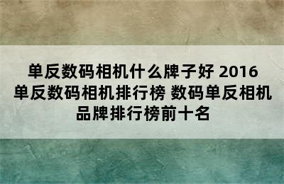 单反数码相机什么牌子好 2016单反数码相机排行榜 数码单反相机品牌排行榜前十名